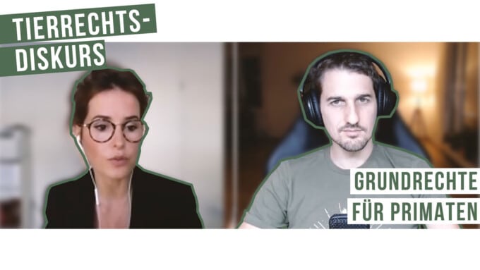 Grundrechte für Primaten