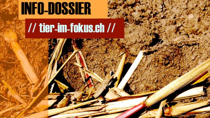 Info-Dossiers als Broschüren erhältlich!