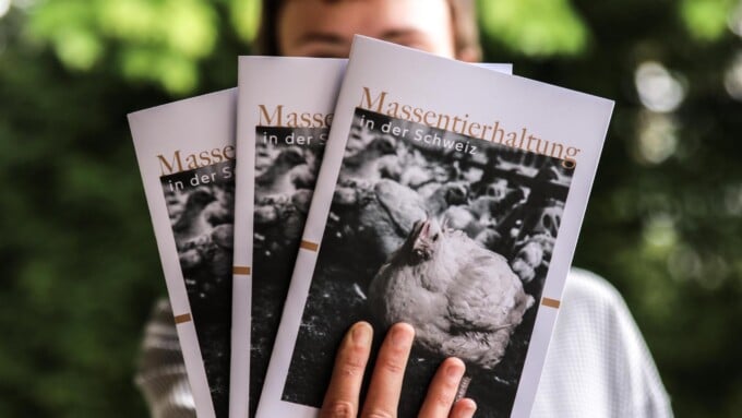 Bestelle Broschüren und Flyer