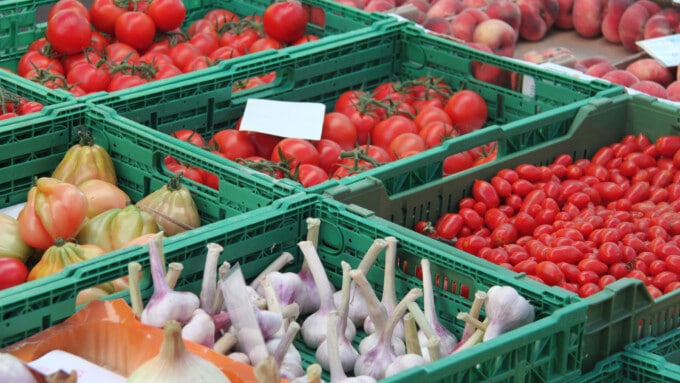 „Die Zeichen der Zeit stehen auf vegetarisch“