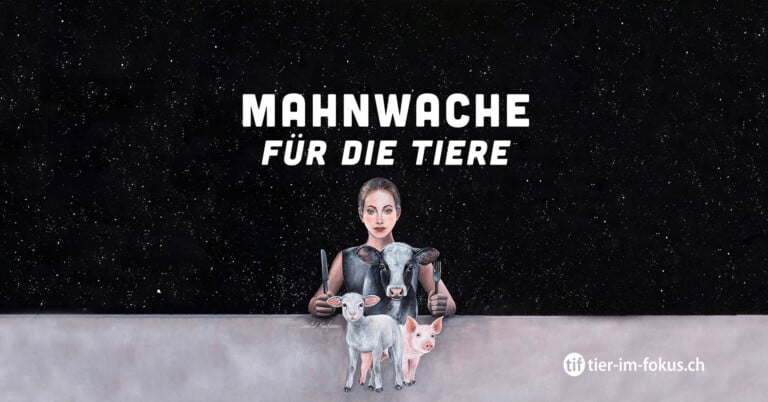 Wegen Weihnachten: Mahnwache für die Tiere