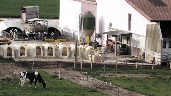 Milch: Fakten statt Mythen