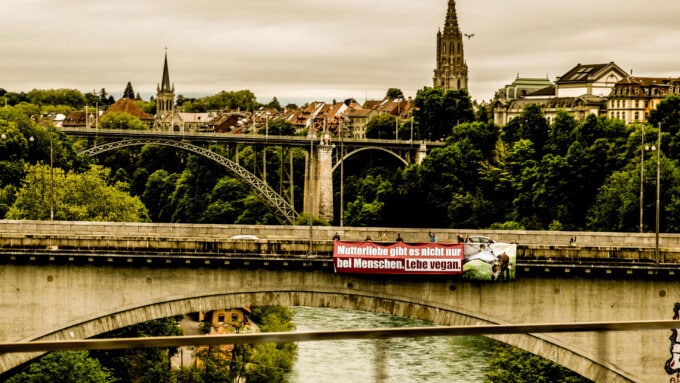 «Mutterliebe gibt es nicht nur beim Menschen»