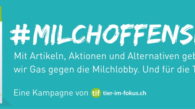 Offensive gegen Milch