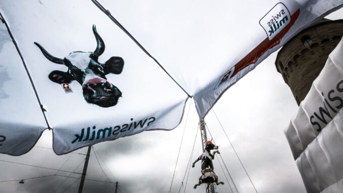 Die Milchindustrie steckt in der Krise