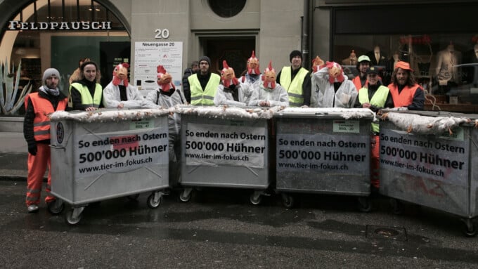 Schweizweite Osteraktionen