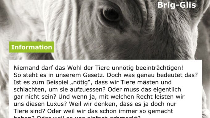 Vortrag von Klaus Petrus in Brig-Glis