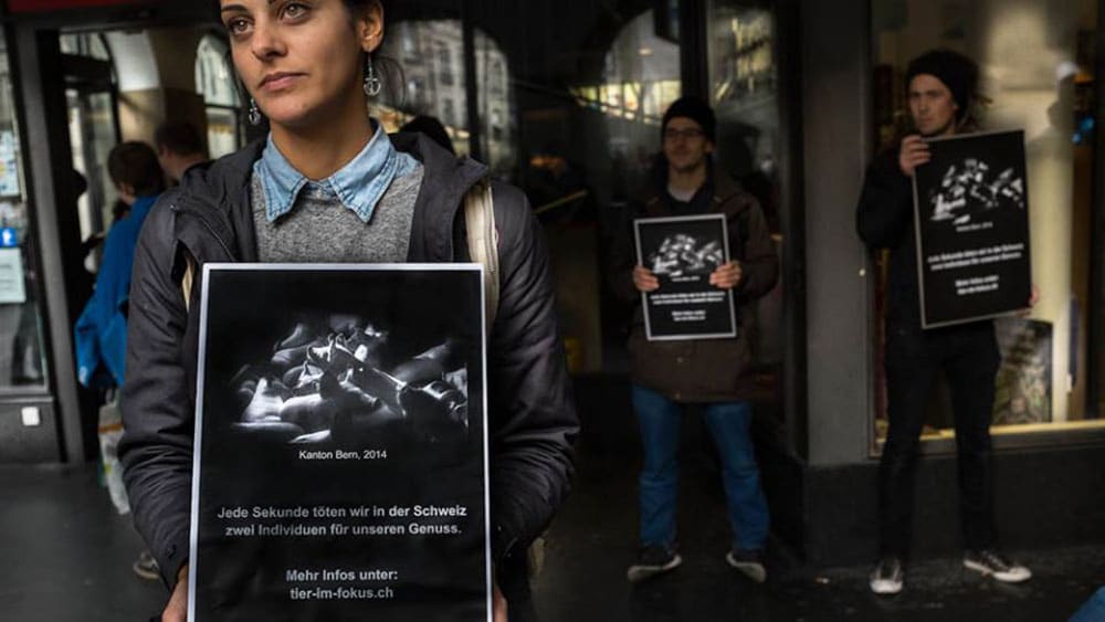 protestaktion_2014