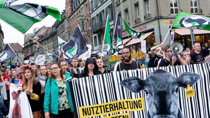 Die Fleischindustrie in Schieflage