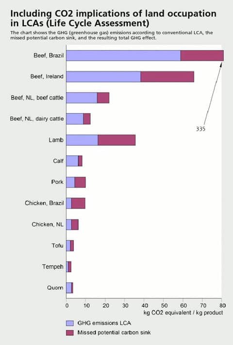 Klimabilanz von Fleisch und pflanzlichen Fleischalternativen