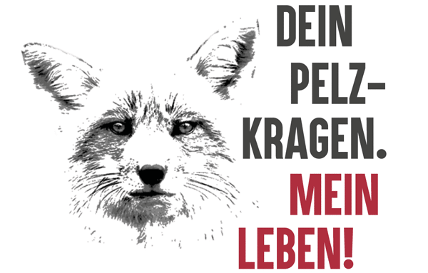 Hol dir jetzt dein Set gegen Pelz!