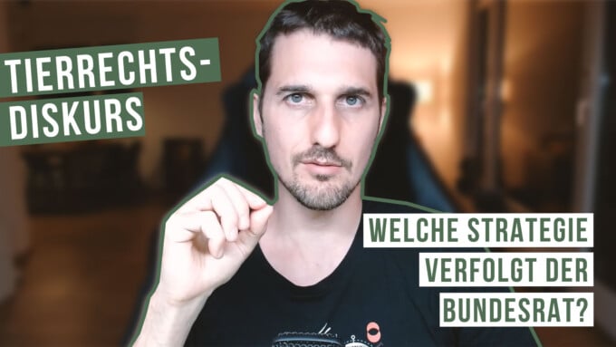 Welche Strategie verfolgt der Bundesrat?