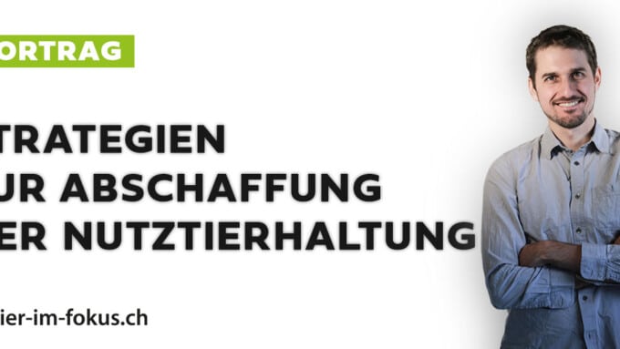 Strategien zur Abschaffung der Nutztierhaltung