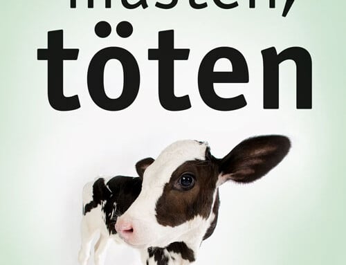 „Streicheln, mästen, töten“ (Anton Rotzetter)