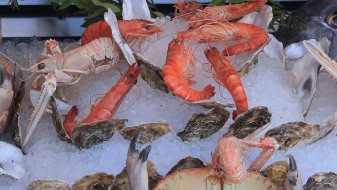 „Fischzucht ist ein Motor der Überfischung, keine Alternative!“