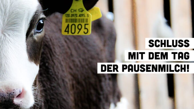 «Tag der Pausenmilch»: über 1500 Menschen fordern Ende