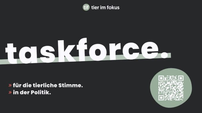 Taskforce: Wir bringen Tiere in die Politik