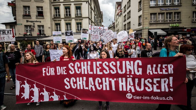 Hallo Tierrechtsbewegung