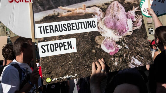 «Schlachthäuser gehören – abgeschafft»
