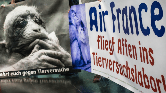 „Der Druck auf Air France steigt. Definitiv.“