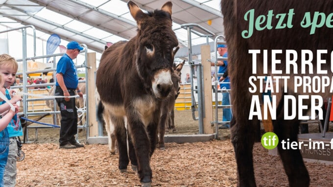 Tierrechte statt Propaganda an der BEA