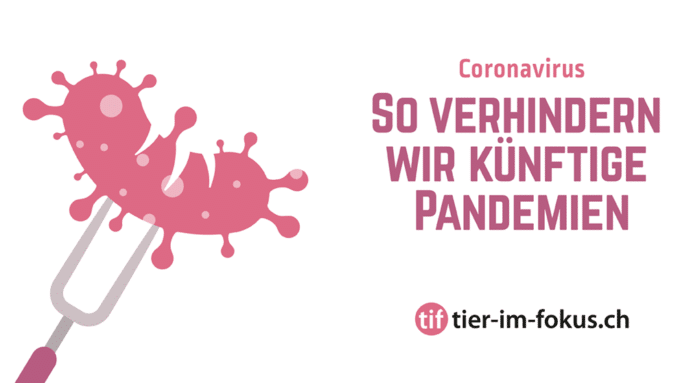 Mit Sticker, Flyer & Co gegen Pandemien