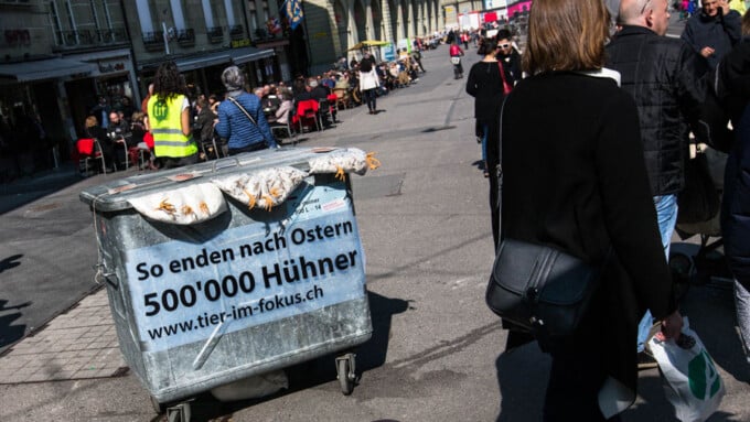 Die grosse Stille nach Ostern