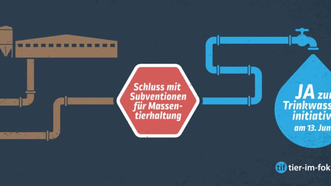 Tier im Fokus sagt Ja zur Trinkwasserinitiative