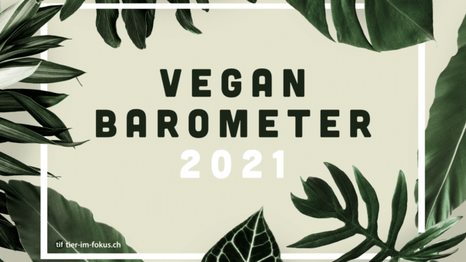 Zum Weltvegantag: Tier im Fokus (TIF) schenkt der veganen Bewegung eine Studie 🎁