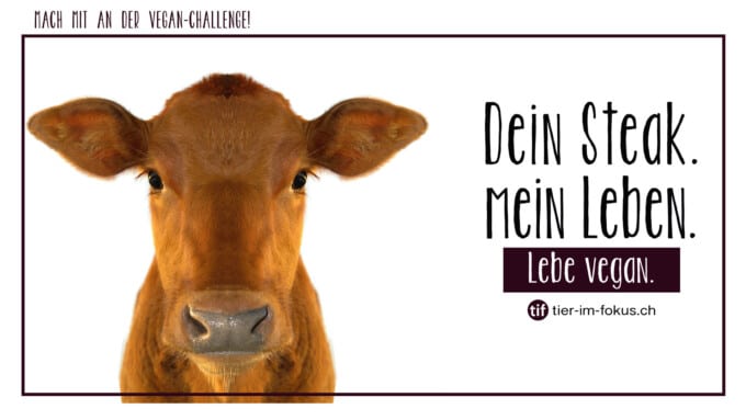Die grosse Vegan Challenge 2018