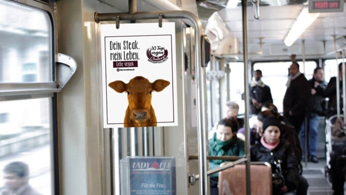 Just vor der BEA lanciert Tier im Fokus eine neue Vegan Challenge