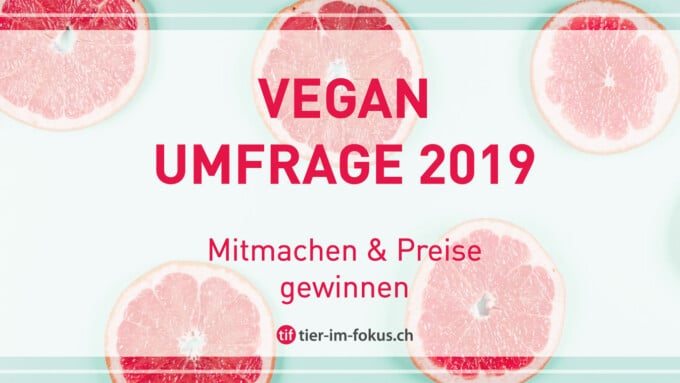Wie tickt die vegane Bewegung?