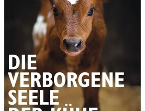 «Die verborgene Seele der Kühe» (Jeffrey M. Masson)