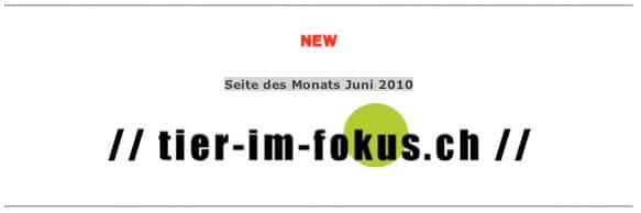 Zur Website des Monats gewählt!