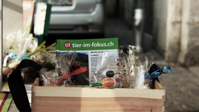 Alle Jahre wieder – TIF bäckt für die Tiere