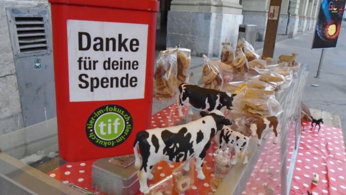 Tierrechte und Menschenrechte zur Weihnachtszeit