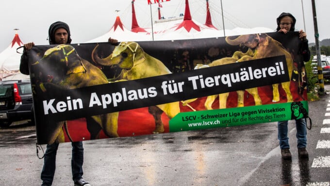 Für einen Zirkus ohne Tiere