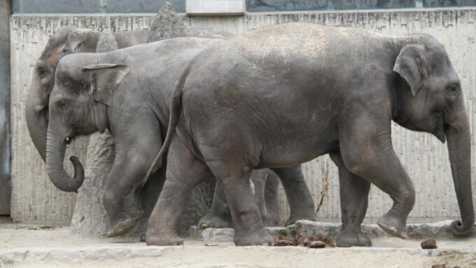 Der Zoo – ein Blick hinter die Kulissen