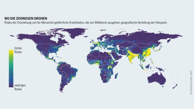 Zoonosen: Tierproduktion, Pandemie und Gesundheit