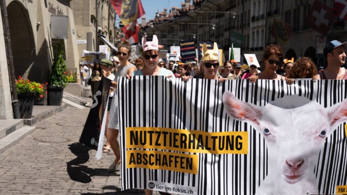 Die Zutaten einer Revolution