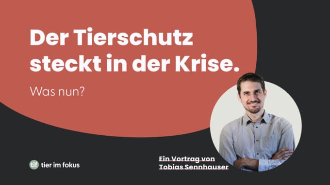 Der Tierschutz steckt in der Krise – was nun?
