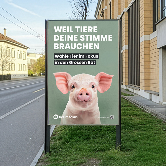 Unsere Kandidatur fürs Kantonsparlament