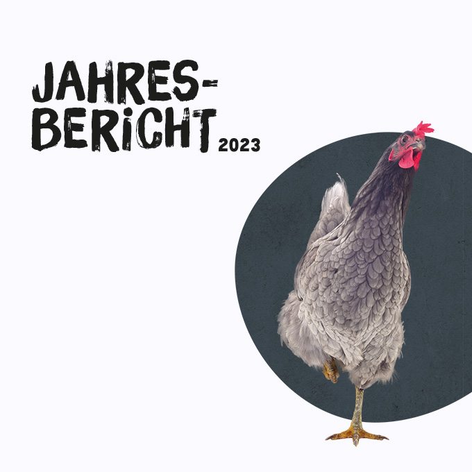 Jahresbericht 2023