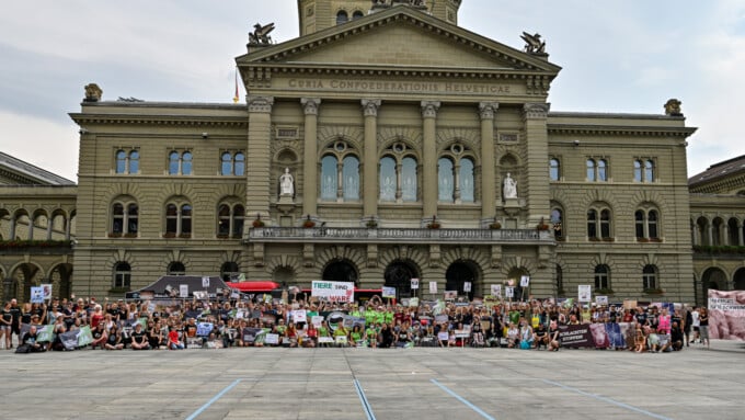 400 Leute protestieren gegen Massentierhaltung