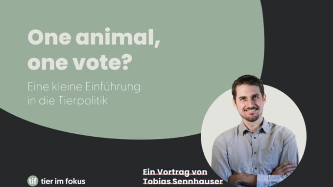One animal, one vote? Eine kleine Einführung in die Tierpolitik