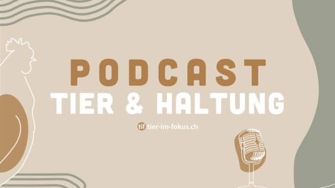 Podcast: Tier & Haltung