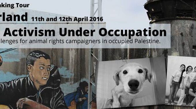 Tierrechte in Palästina