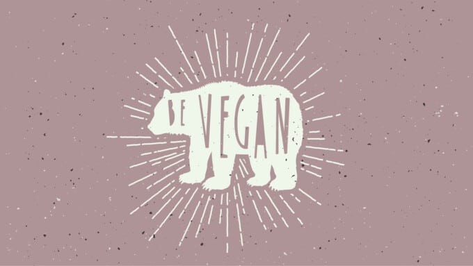 bern-vegan.ch – neue vegane Anlaufstelle online
