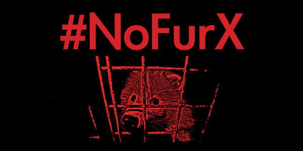 petition_no_fur