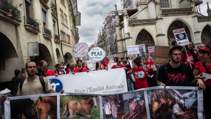 9 Gründe für den Schlachthaus-Protest in Bern